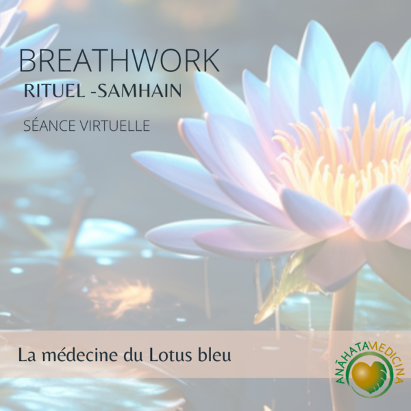 Breathwork : La médecine du lotus bleu