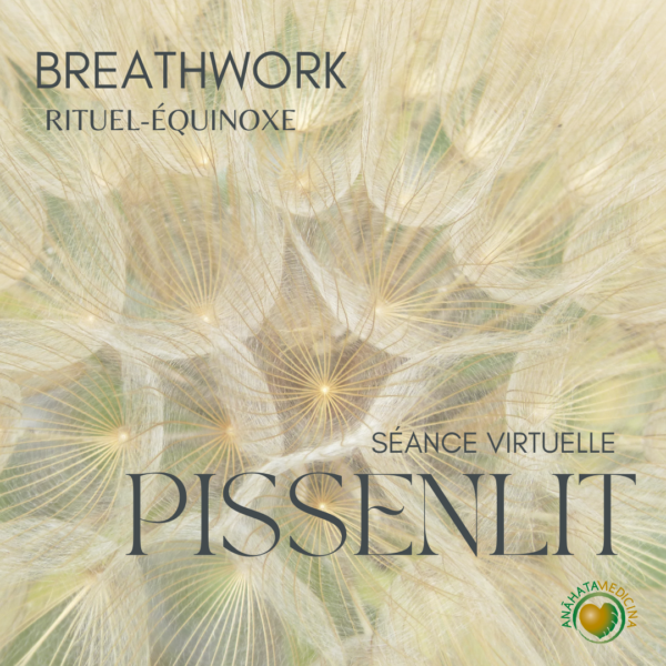 Breathwork : La médecine du Pissenlit