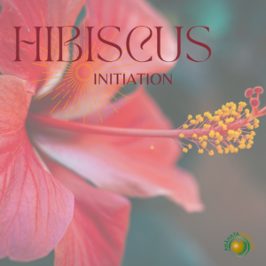 Initiation Hibiscus