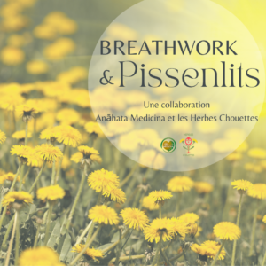 Atelier breathwork et pissenlits