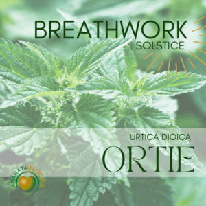 Breathwork : La médecine de l'Ortie