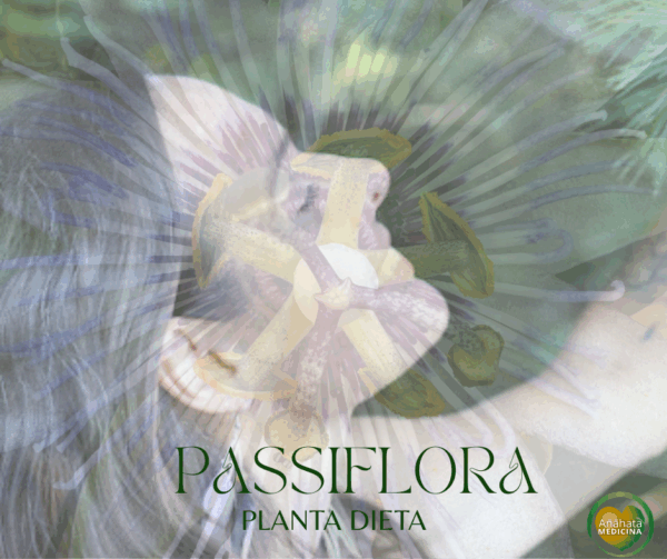PLANTA DIETA  Passiflora