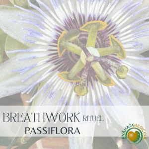 Breathwork : La médecine de la Passiflore