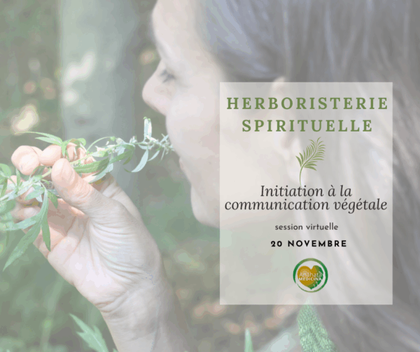 Atelier d'introduction à l'herboristerie spirituellle