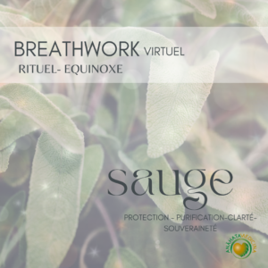 Breathwork : La médecine de la sauge