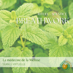 Rituel breathwork du solstice : La médecine de la Mélisse