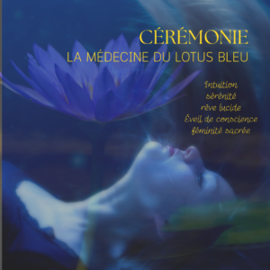 Journée d'initiation à la médecine du lotus bleu
