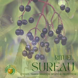 À VENIR : Breathwork rituel - La médecine du Sureau